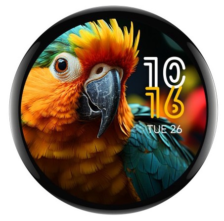 Round AMOLED